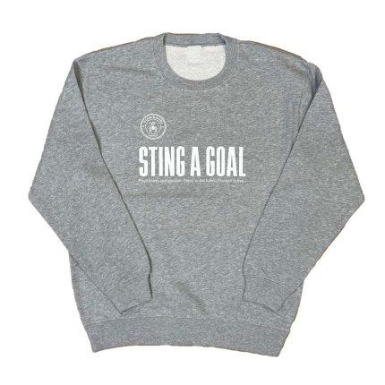 Men's 100% Cotton Pullover Hoodie Winter Customized Design Solid